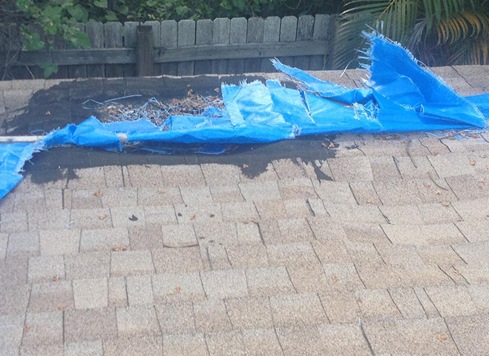 June 2020 Newsletter Photo